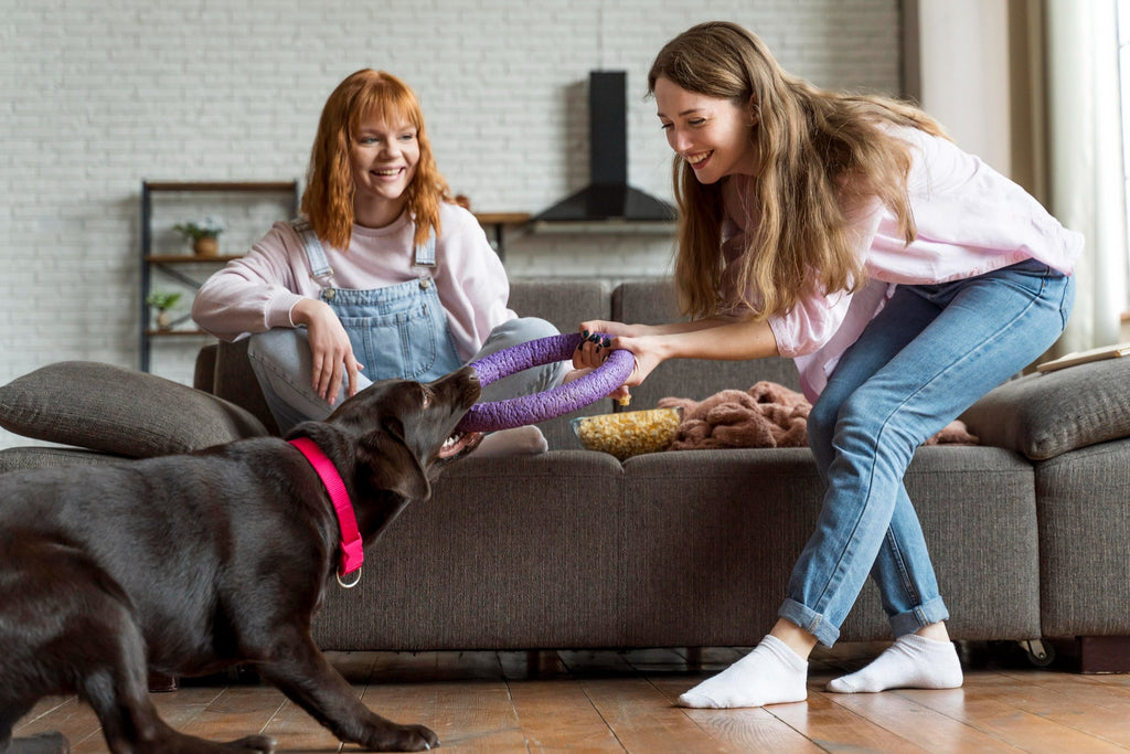 5 Essential Pet Care Tips Every Pet Parent Should Know