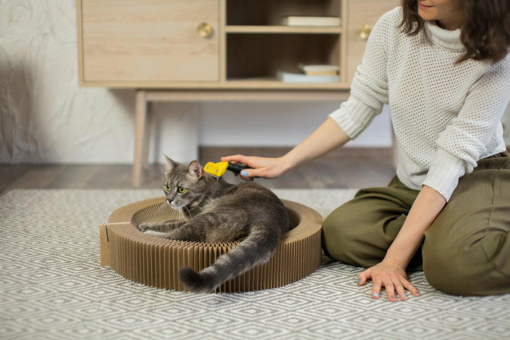Top 7 Must-Have Pet Care Products for Every Pet Parent